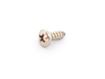 Picture of Gaggia Classic Funnle Self-T. Screw 3.5x9.5 Nickel Plated