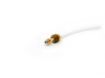 Picture of Delonghi Tube Ptfe L=460 Nut 1Bushe