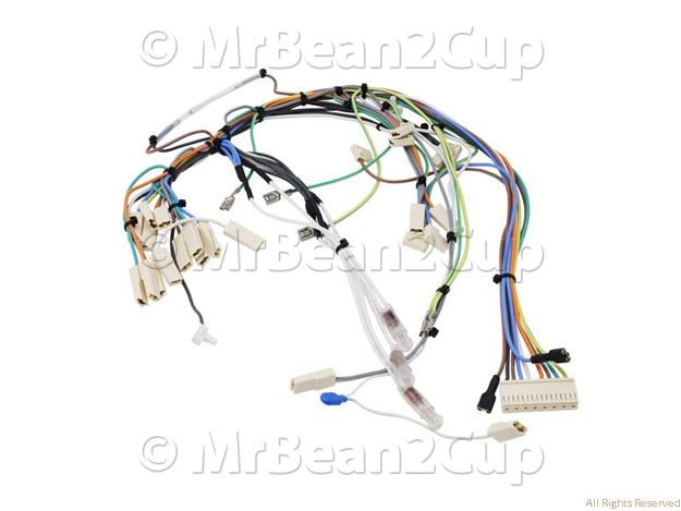 Picture of Gaggia Classic V3 2019 Wiring S.O. 230V Assy