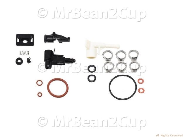 Picture of Gaggia Besana Full Service Kit - Every 4 years or after 4000 cups