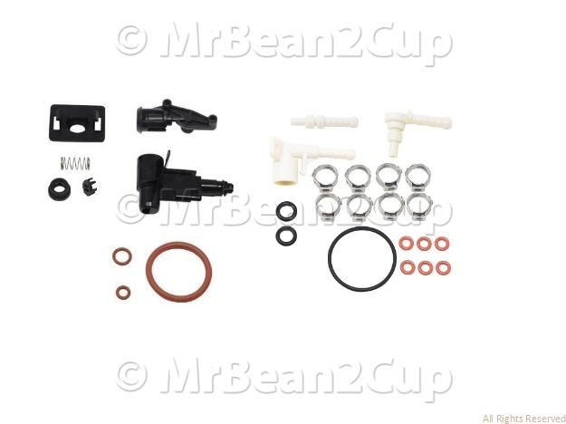 Picture of Gaggia Cadorna Style/Plus/Milk Full Service Kit - Every 4 years or after 4000 cups