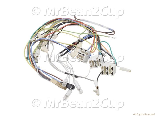 Picture of Gaggia Wiring Classic Evo S.O.230V Ass